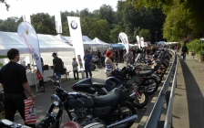 THE CRANKCASE.COM -